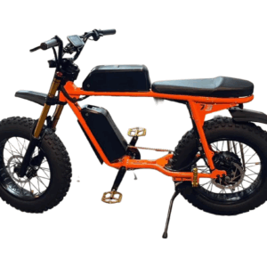 Custom Built Super 73 E-Bike